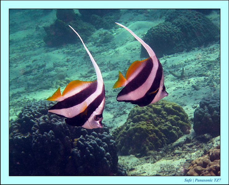 2012 - 03 - Koh Ha 17